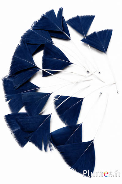 Petali in piume - 6-8 cm x 3-4 cm - blu notte